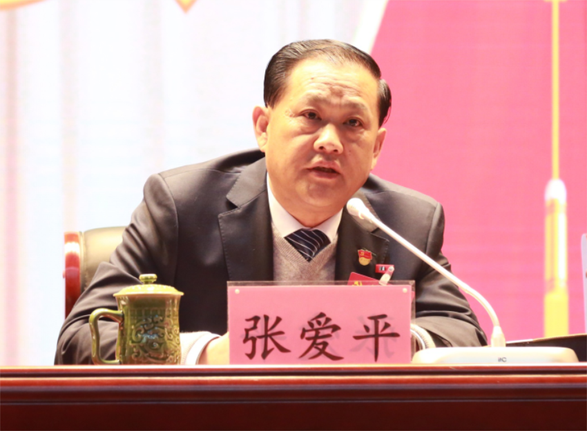 张爱平同志宣读中共星空手机官方网站_星空(中国)第一届党委成员分工及纪委成员分工